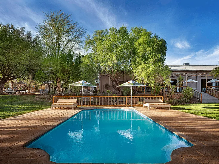 Swimming pool with lounge chairs and umbrellas in a sunny garden setting
