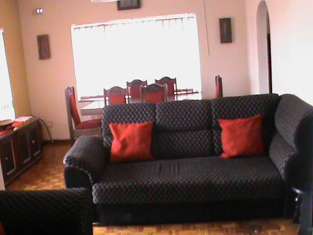 Dark sofa with red cushions in a living room with wooden flooring