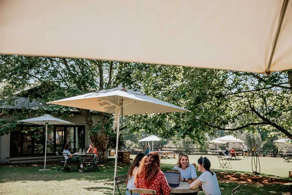 Group of people sitting at a table under umbrellas in a green outdoor setting