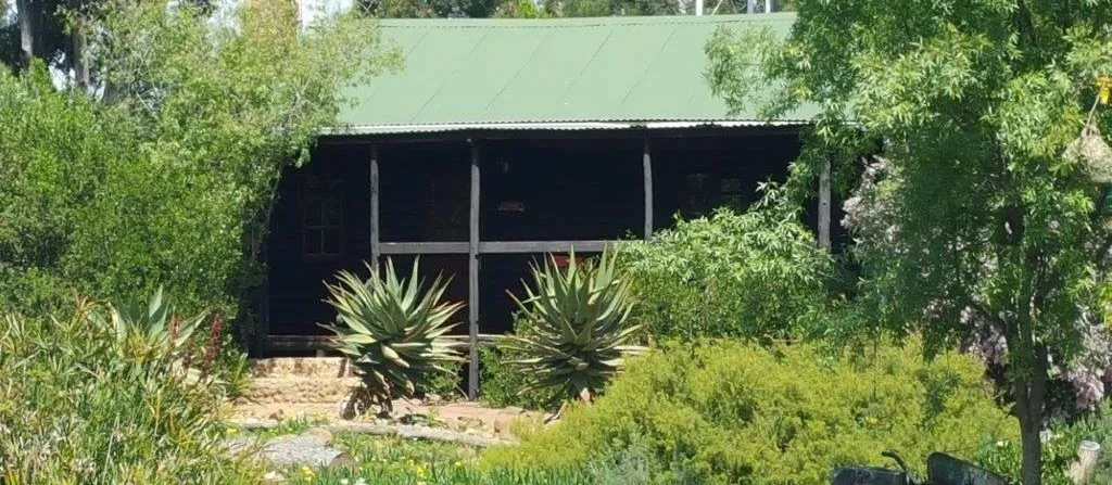 Wooden cabin with green roof surrounded by lush greenery and plants