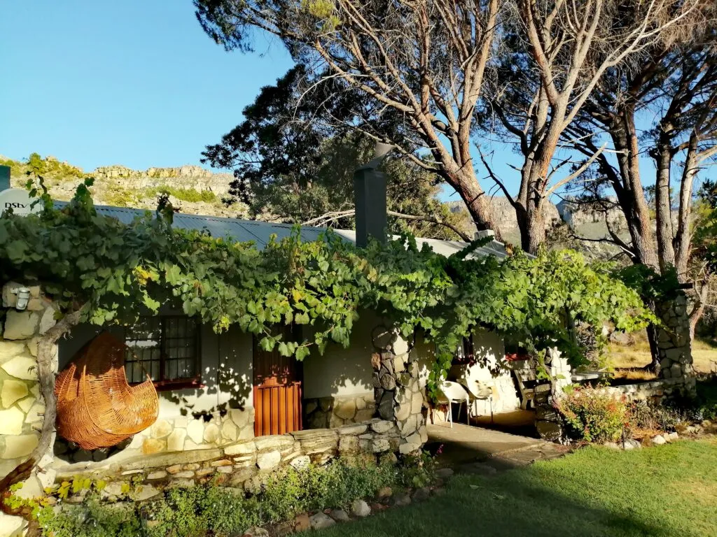 Stone cottage with vinecovered roof and trees in a sunny garden setting