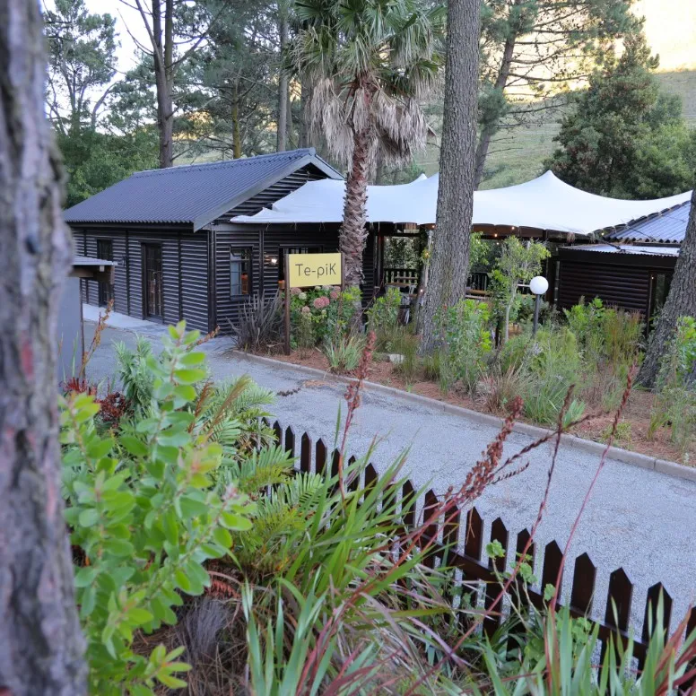 Wooden cabin with a palm tree in a forested area surrounded by plants