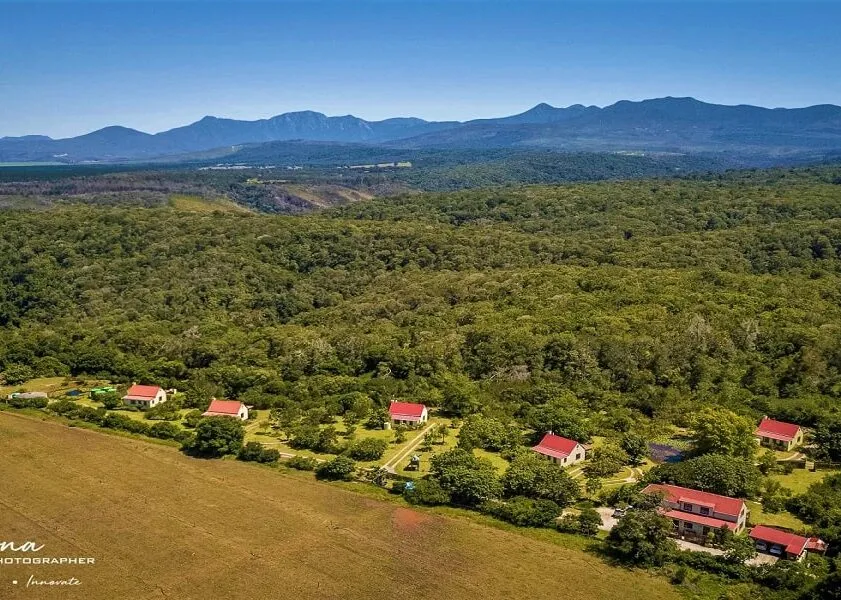 Aerial view of houses with red roofs in a lush green forest