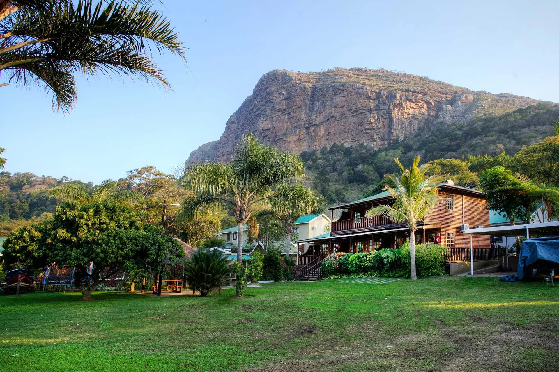 Houses with palm trees in front of a large rocky hill