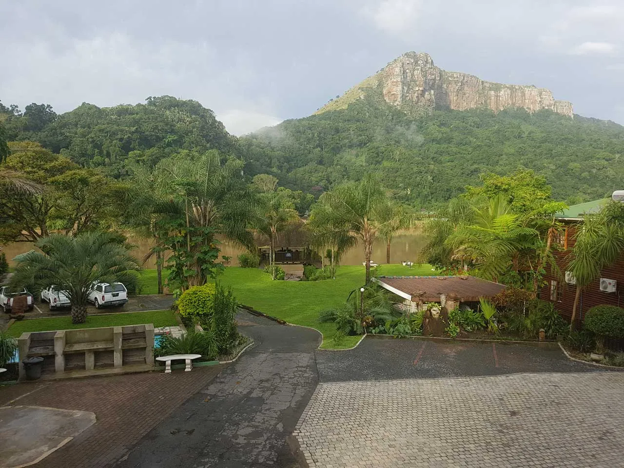 Lush garden with palm trees parked cars and a mountain in the background
