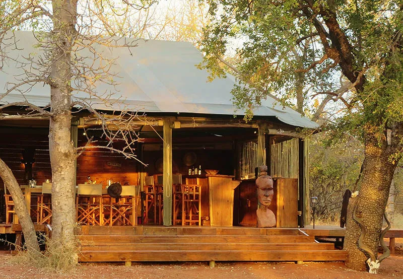 Wooden lodge with bar area under trees warm lighting rustic setting