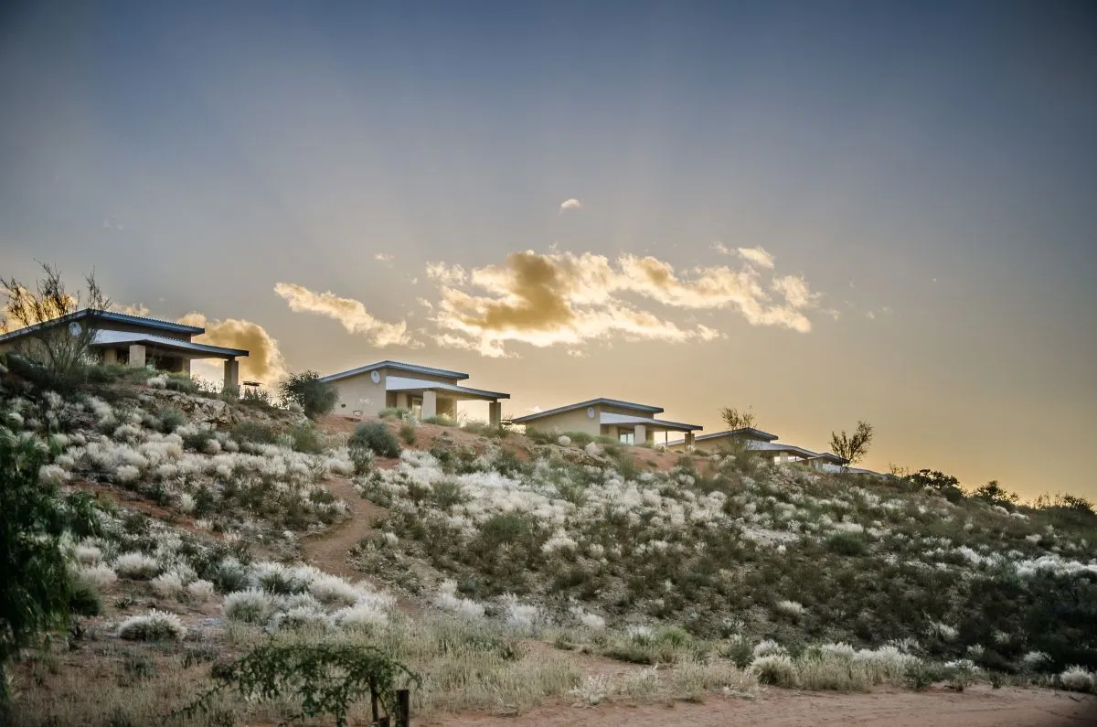 Row of modern houses on a hillside with sunset in the background