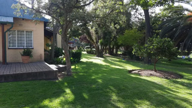 House with a garden trees and a paved patio area