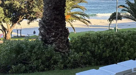 Palm tree and bushes in front of a sandy beach with waves