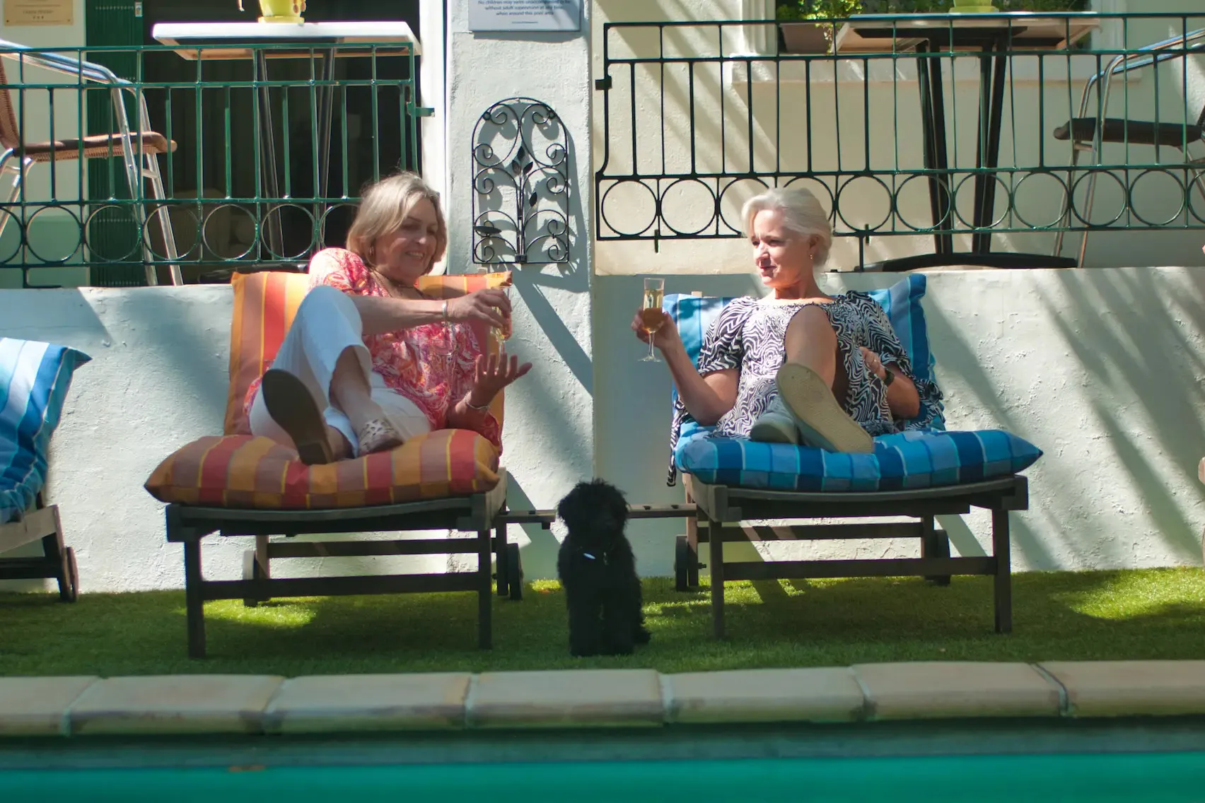 Two women chatting on lounge chairs by a pool with a dog between them