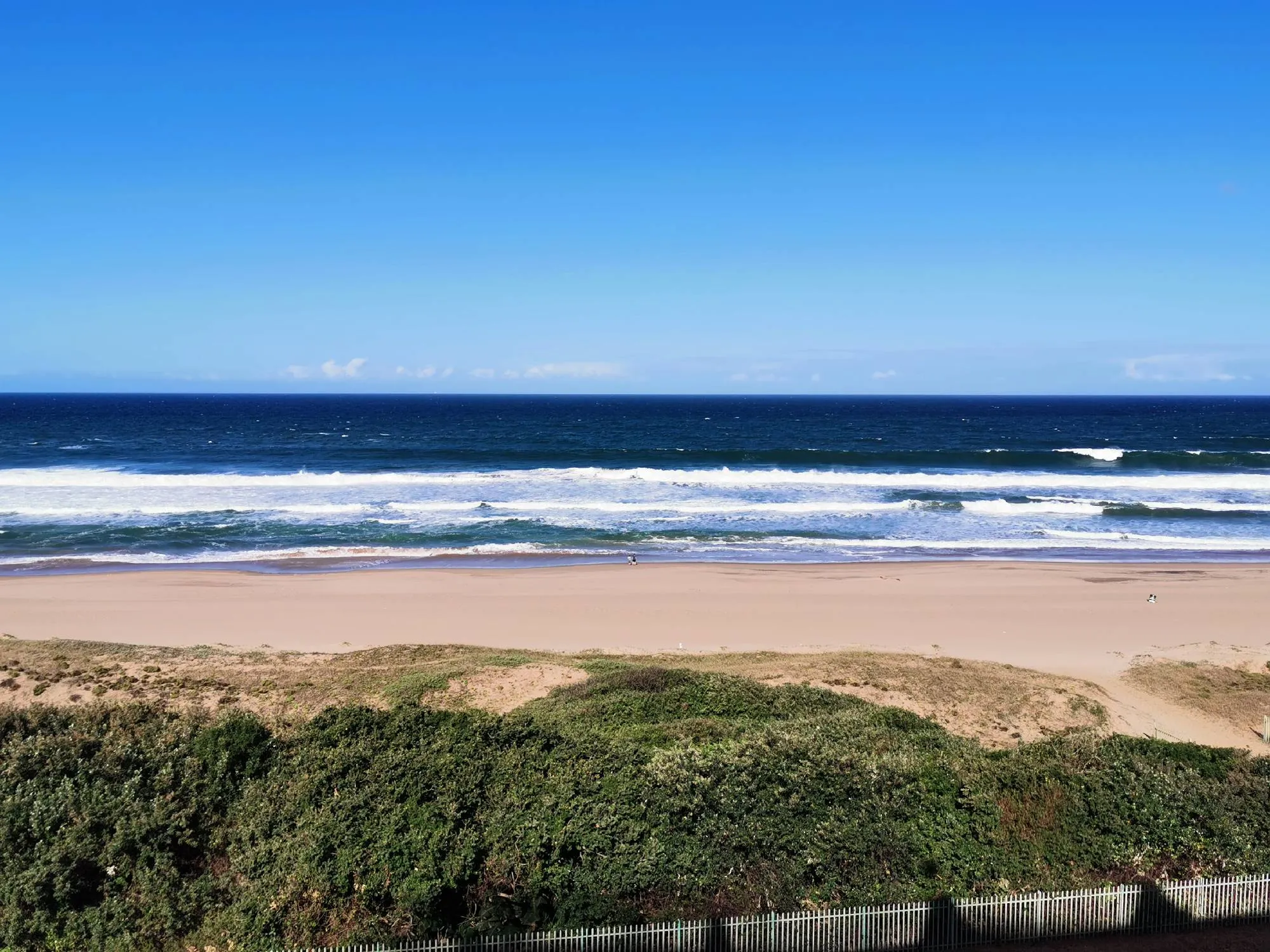 Sandy beach with waves crashing under a clear blue sky bordered by greenery