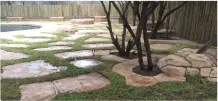 Stone path with stepping stones in a garden with trees and a fence