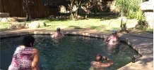 Four people relaxing in an outdoor pool surrounded by greenery
