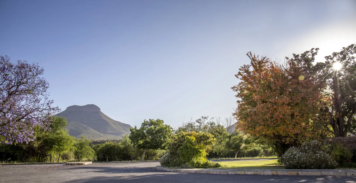 Mountain view with colorful trees and a paved road in a park setting