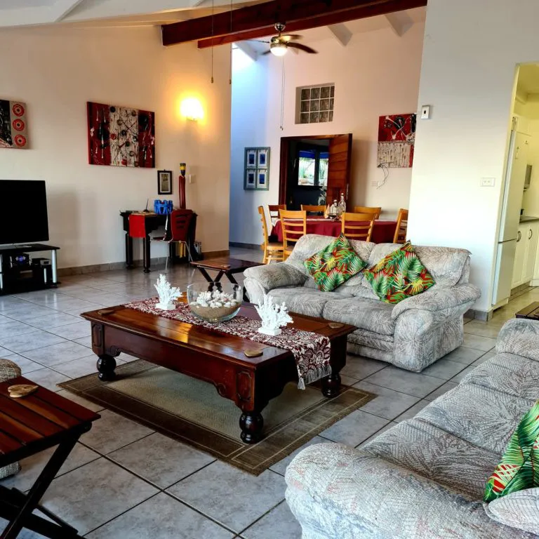 Living room with sofas coffee table TV and ceiling fan