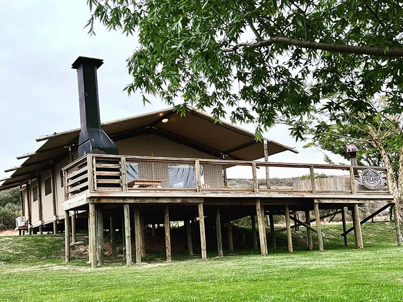 Elevated wooden cabin with large porch surrounded by grass and trees
