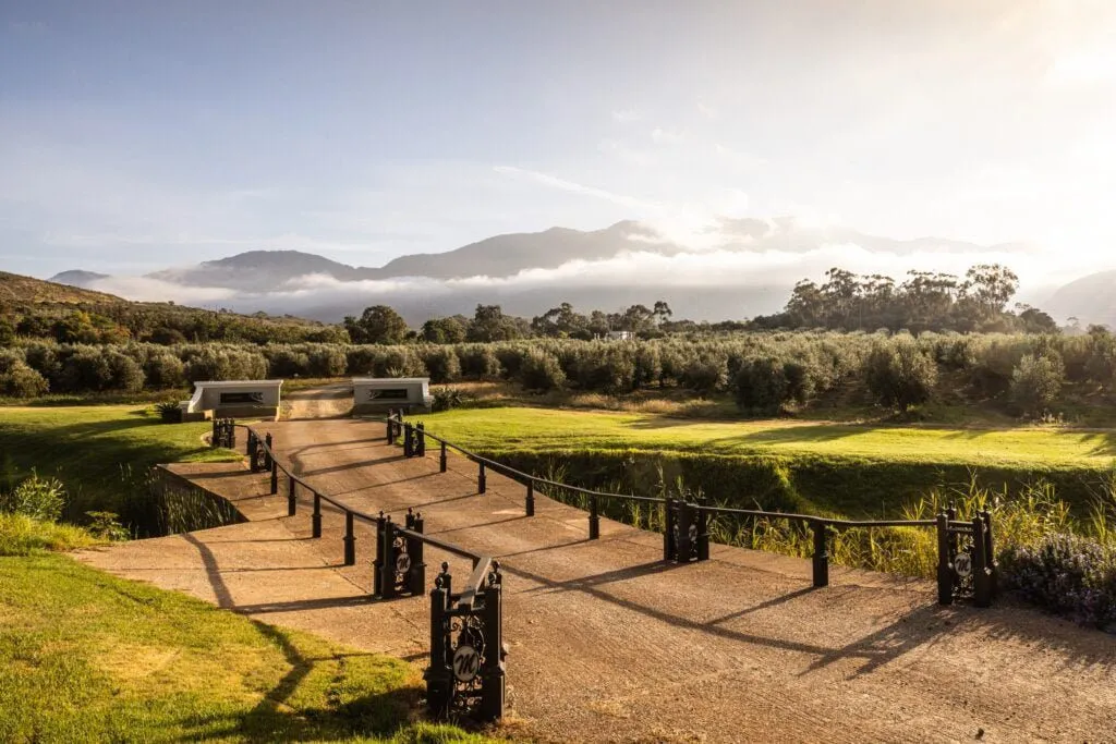 Dirt path through a green landscape with mountains in the background
