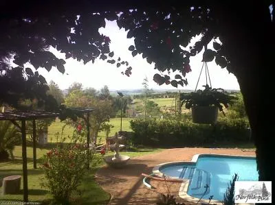 Swimming pool in a garden with trees and plants overlooking a scenic landscape
