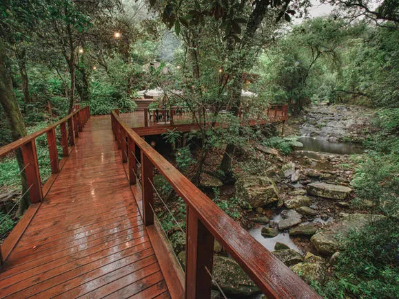 Wooden bridge over a stream in a lush green forest with a gazebo