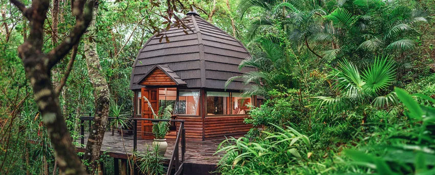 Wooden cabin with a dark roof surrounded by lush green jungle vegetation