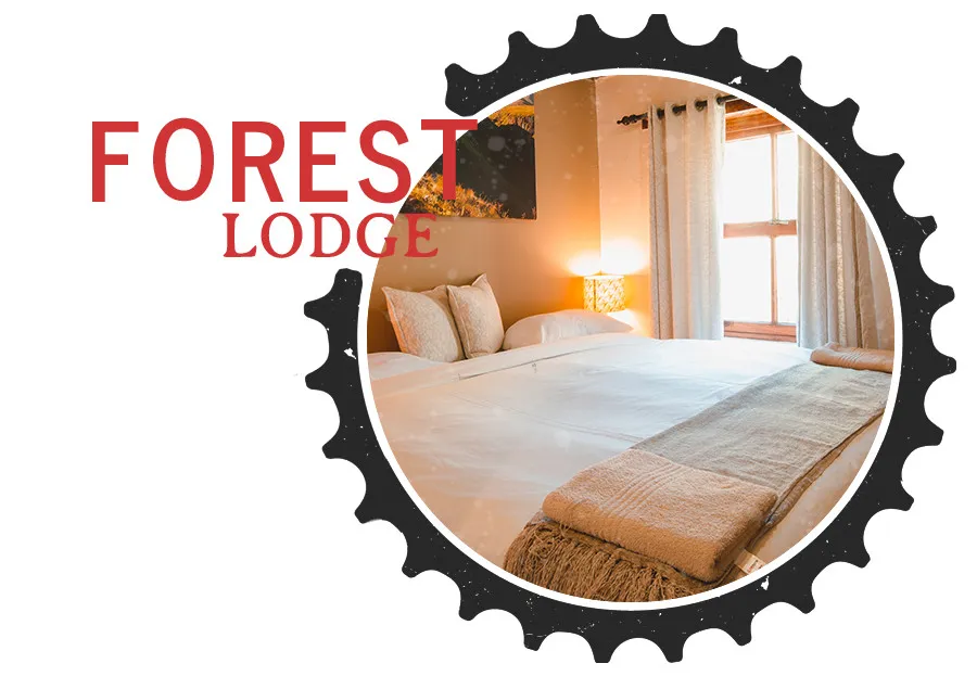 Cozy bedroom with bed pillows and throw blanket framed by a gear design
