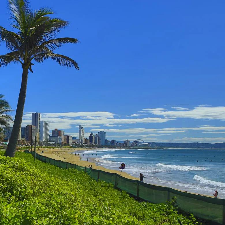 Palm tree beach ocean and city skyline under a blue sky