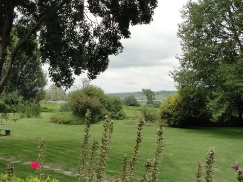 A grassy park with trees and plants under a cloudy sky