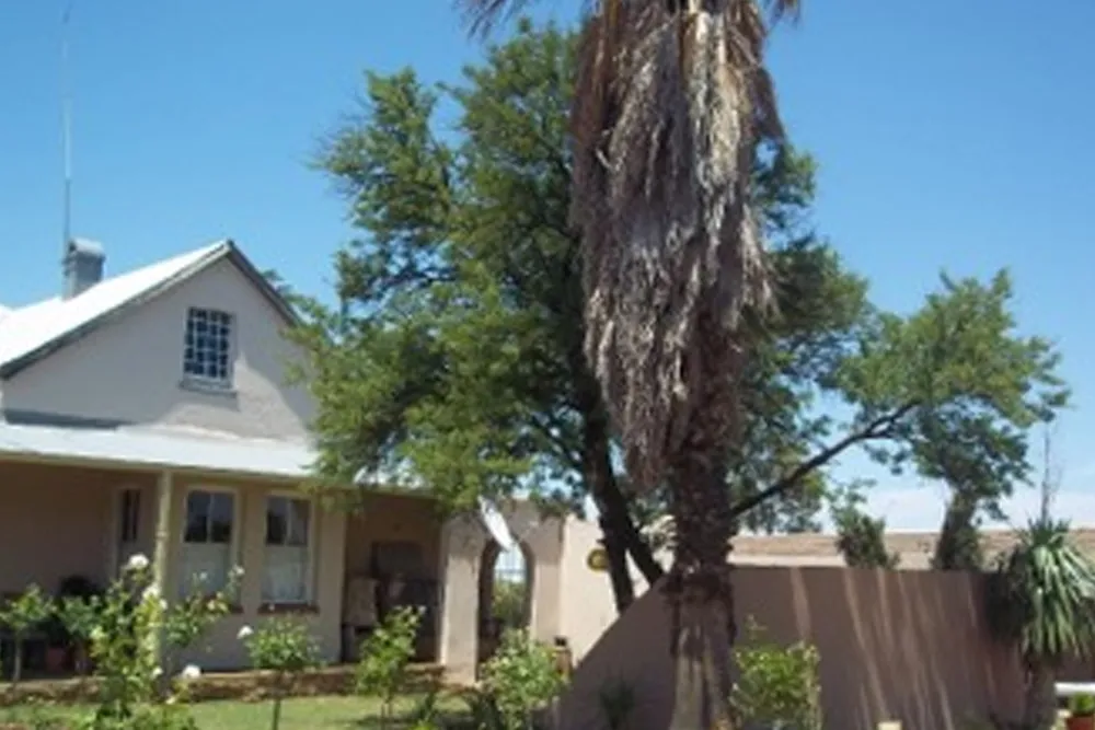 House with a palm tree and other greenery in the yard