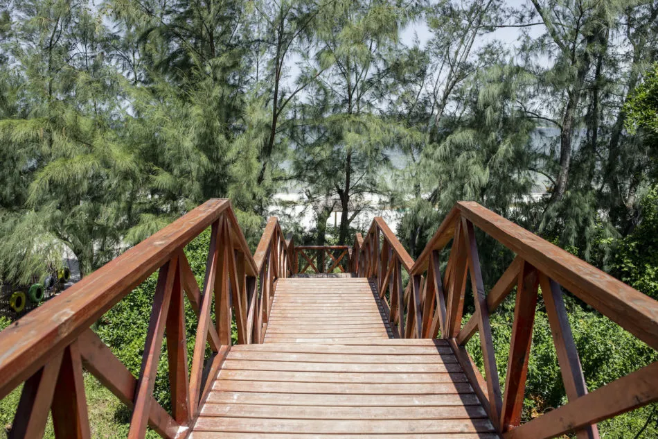 Wooden bridge leading through trees to a beach