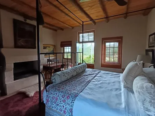 Cozy bedroom with fireplace large bed and wooden ceiling