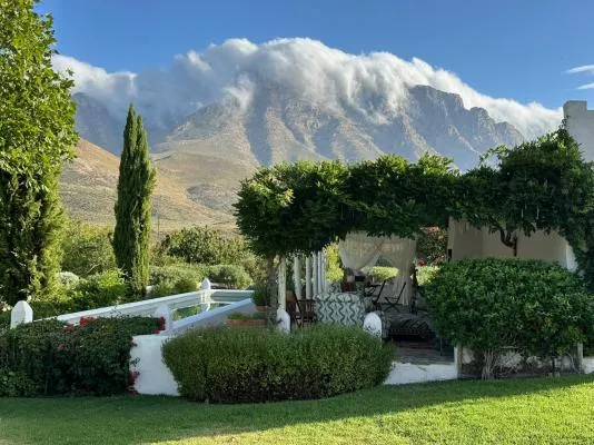 Garden with white birds greenery and mountains in the background