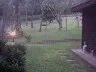 Nighttime backyard with a lit lamp trees and a wooden structure