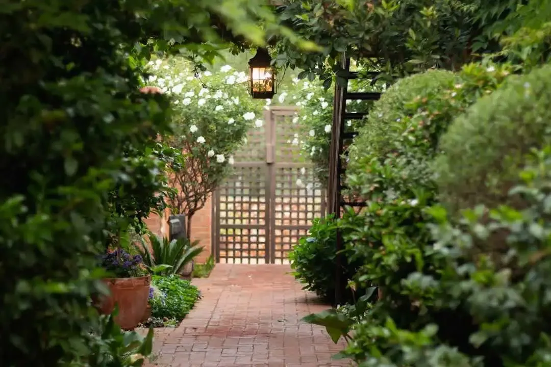 Pathway through lush greenery leading to a wooden gate with a lantern above