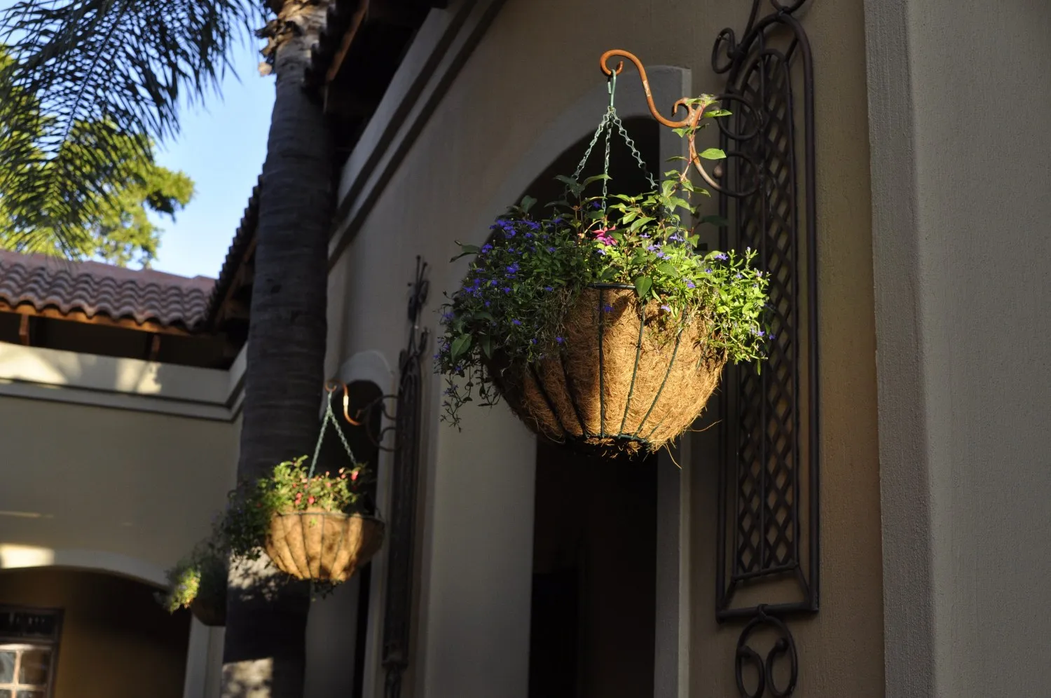 Hanging flower baskets on a building wall with palm trees in the background