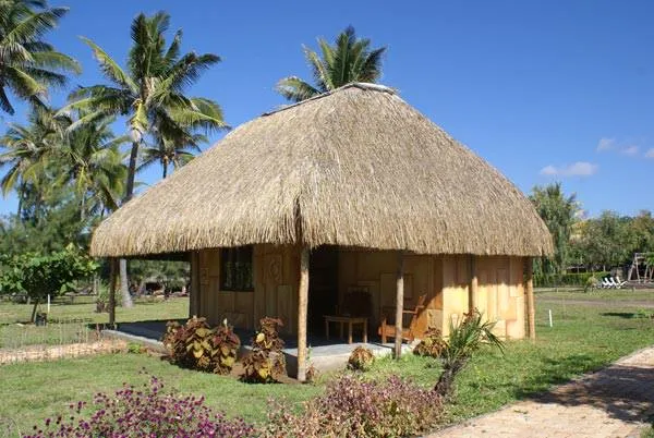 Thatchedroof hut with wooden walls in a tropical setting with palm trees