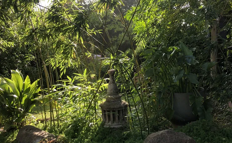 Stone lantern in a lush green garden with bamboo and plants