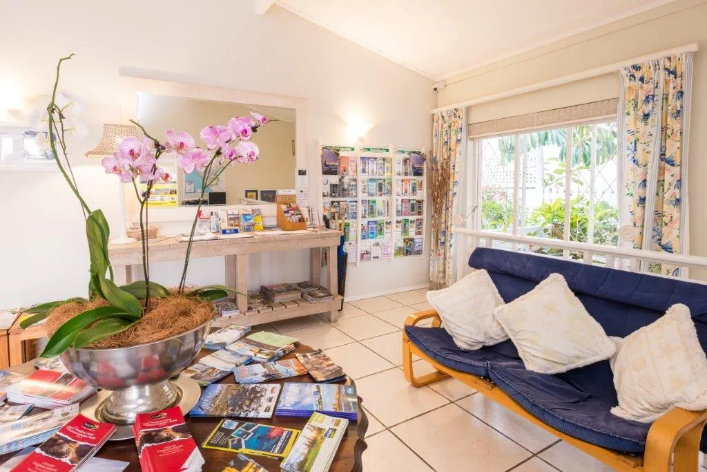 Bright living room with potted orchid magazines and blue sofa by large windows