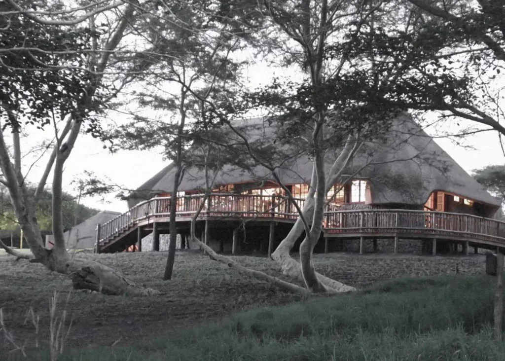 A large thatchedroof building surrounded by trees in a natural setting