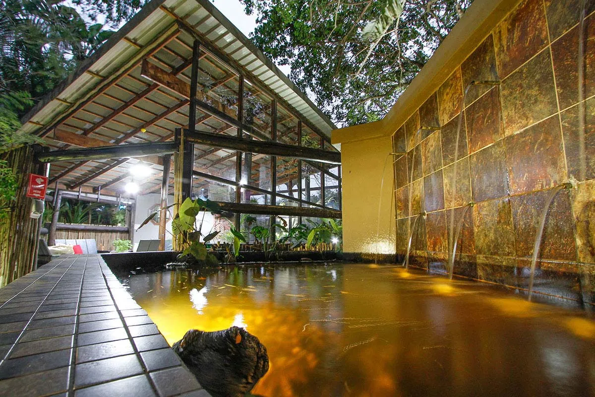 Modern indoor pool with stone walls and glass ceiling surrounded by greenery