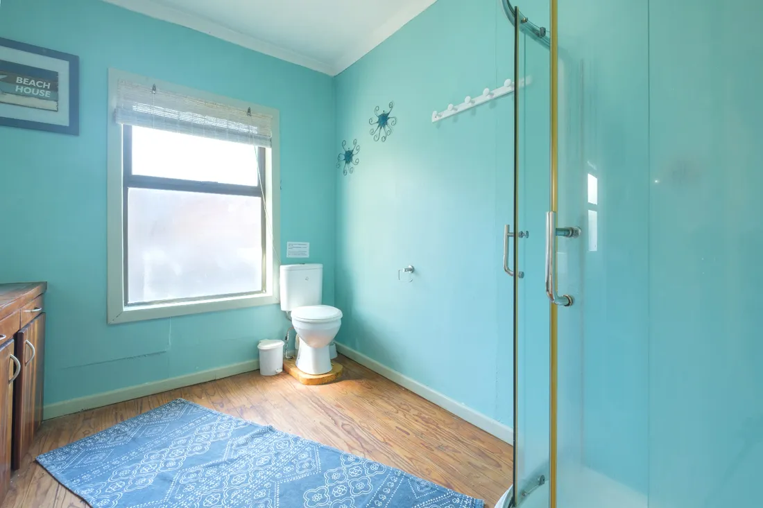 Light blue bathroom with toilet window and shower door wooden floor and rug