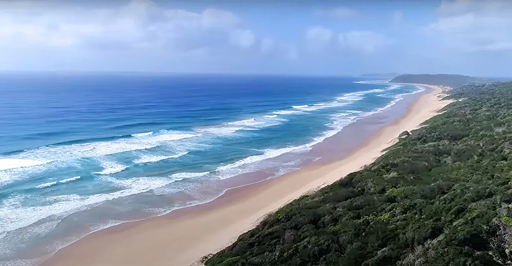 Aerial view of a sandy beach with waves and lush green forest