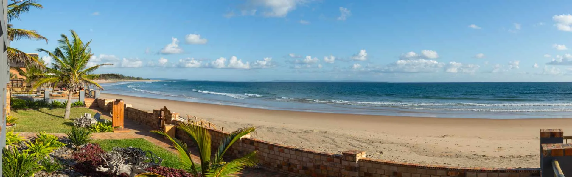 Tropical beach scene with palm trees sand and ocean under a blue sky