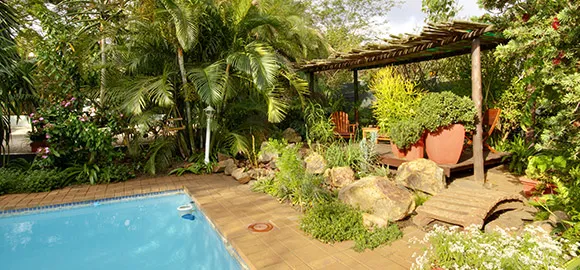 Tropical garden with swimming pool plants and wooden pergola seating area