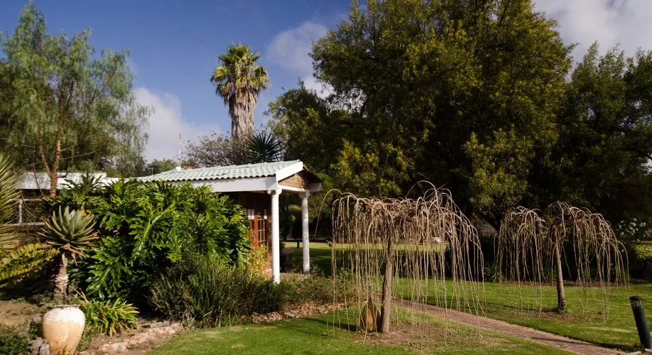 Garden with various plants trees and a small building in the background