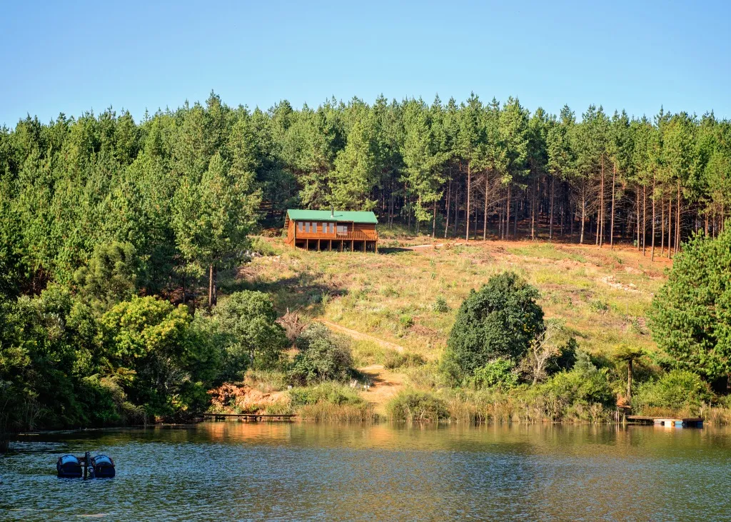 Wooden cabin in forest overlooking a lake with clear blue sky