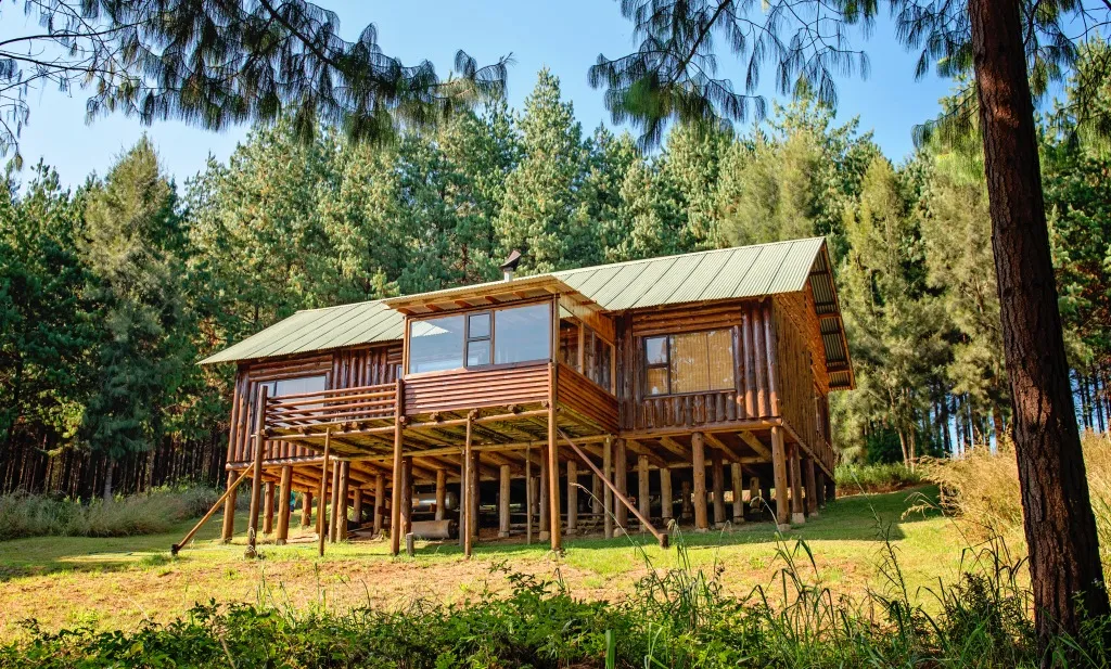 Wooden cabin on stilts in a forested area with green grass and trees