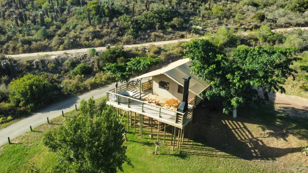 Elevated cabin in a lush green landscape with a dirt road nearby