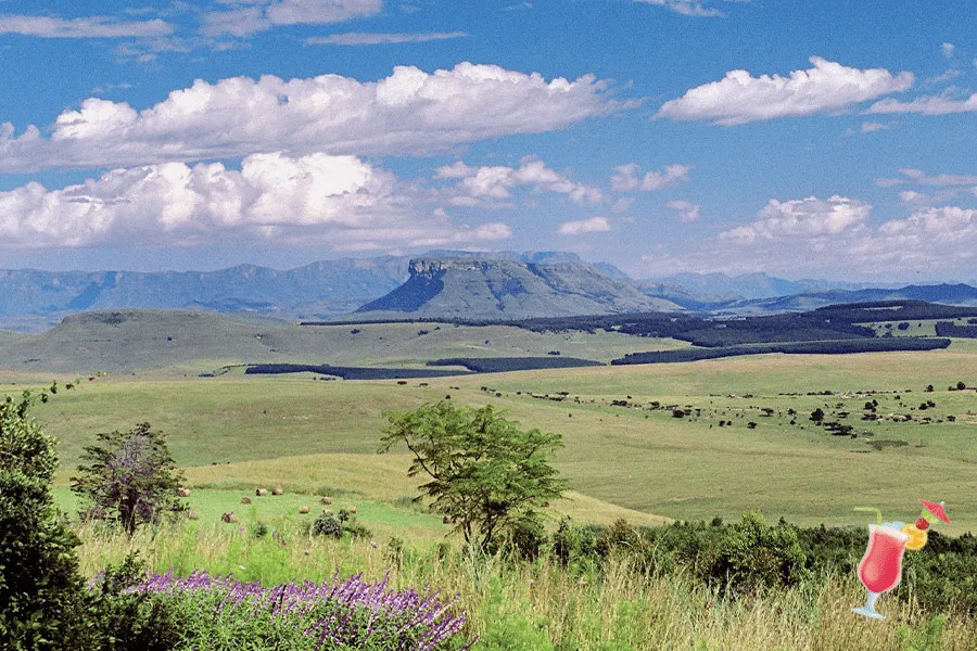 Vast green landscape with mountains trees and a cocktail emoji in the corner