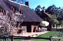 Thatchedroof cottage with garden trees and outdoor seating in a rural setting