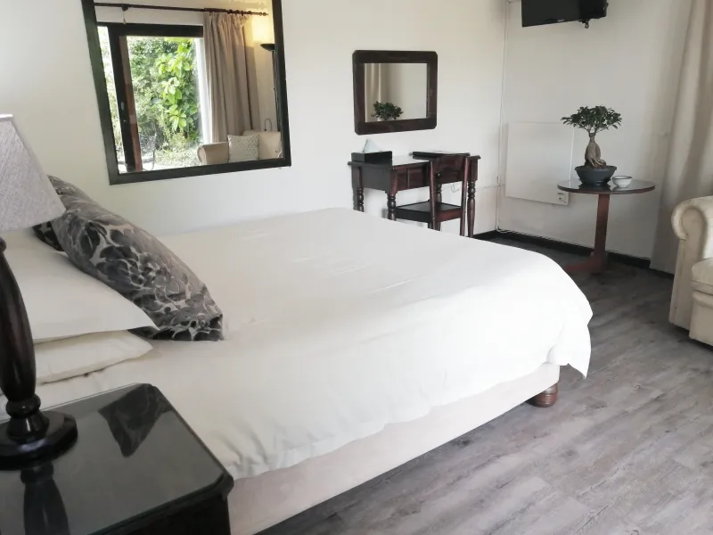 Bedroom with a large bed mirror desk and potted plant on a side table